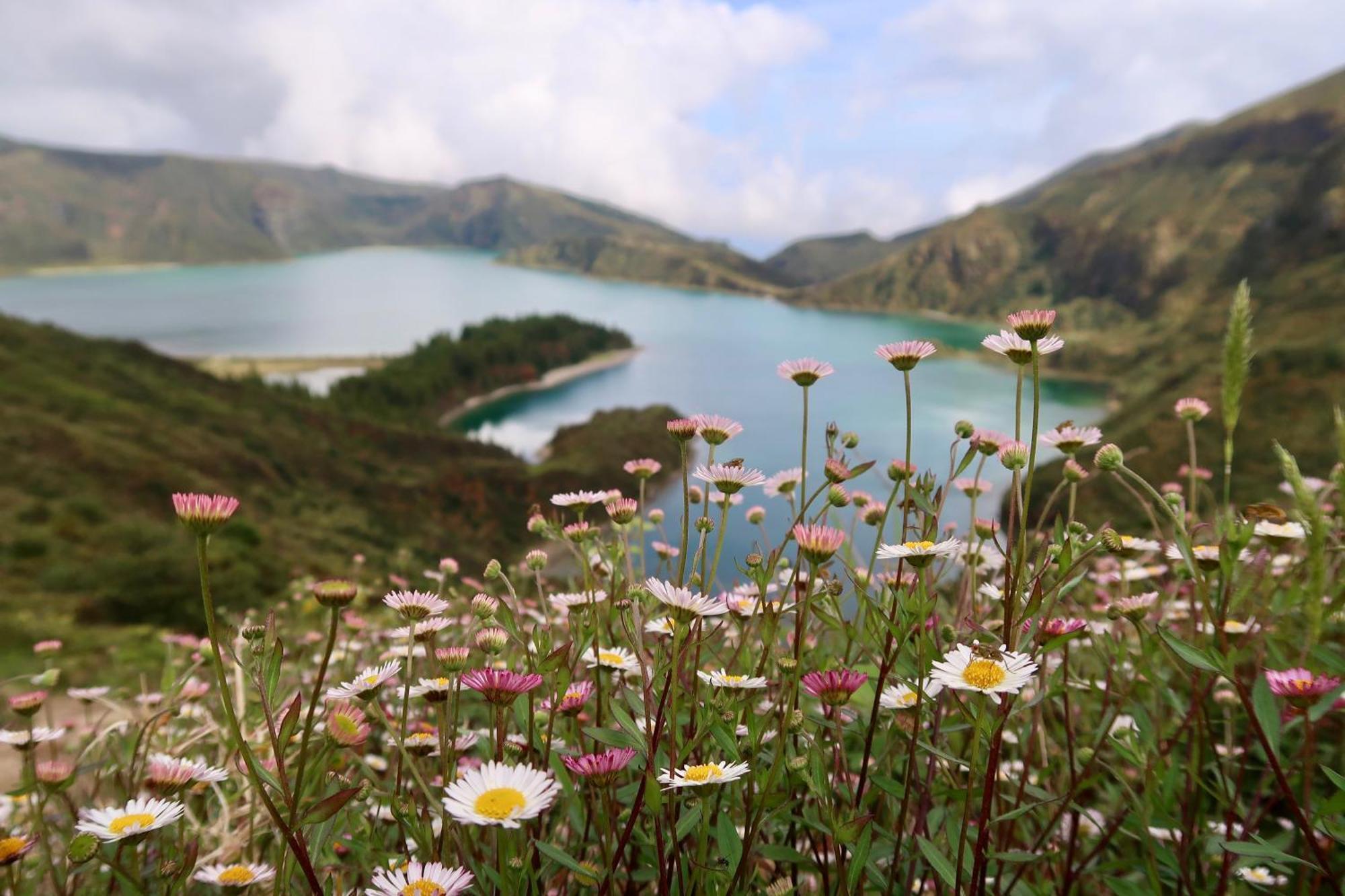 Alojamento Canto Na Relva Ponta Delgada Esterno foto